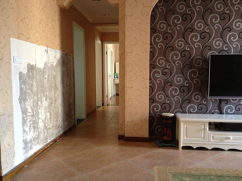 二手房墻面發(fā)霉嚴(yán)重-二手房精裝房重新刷乳膠漆要鏟墻皮嗎？(圖3)
