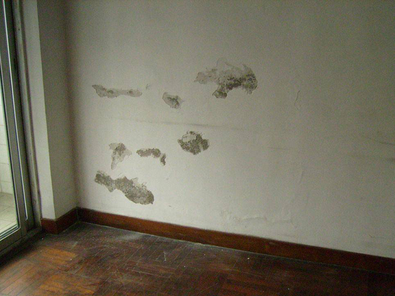 二手房墻面發(fā)霉嚴(yán)重-二手房精裝房重新刷乳膠漆要鏟墻皮嗎？(圖4)